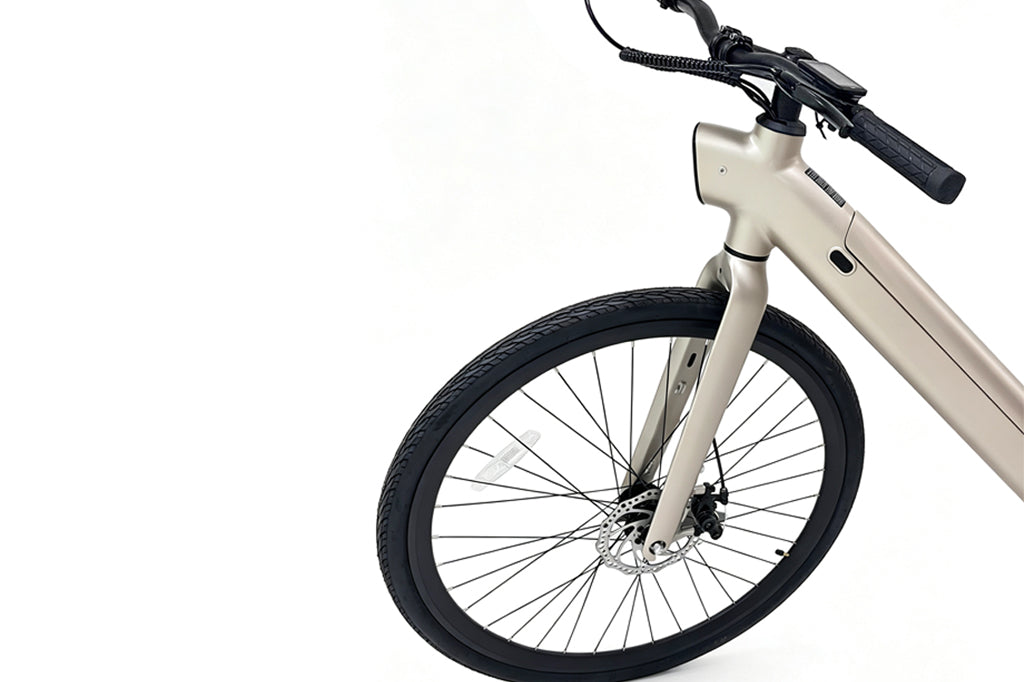 FD FDS1S Step-thru City Electric Bike
